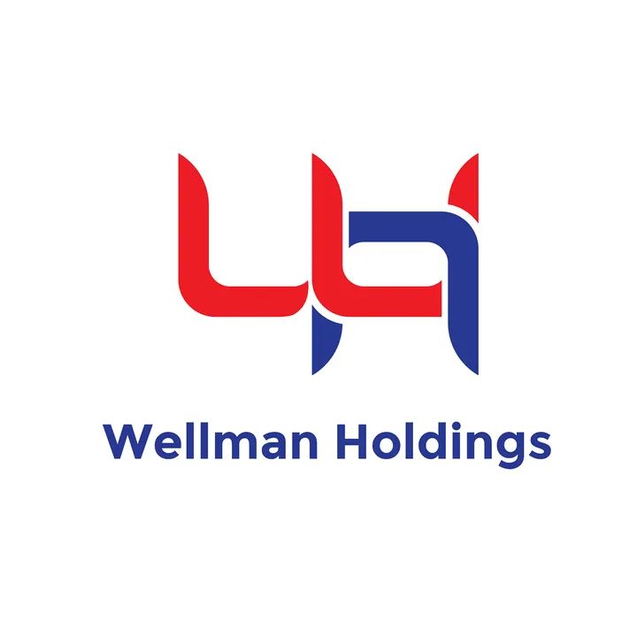Wellman Holdings